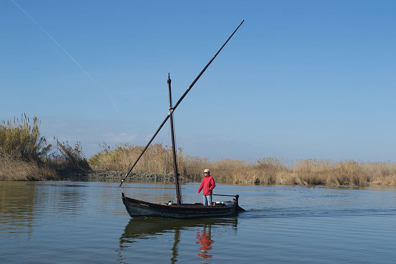 El brote de botulismo deja centenares de aves muertas en la Albufera El brote de botulismo deja centenares de aves muertas en la Albufera