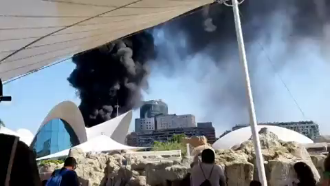 Desalojan el Oceanogràfic tras incendiarse una torre de las instalaciones Desalojan el Oceanogràfic tras incendiarse una torre de las instalaciones