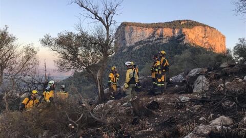 Brigadas terrestres trabajando en el incendio de Alar&oacute;. 