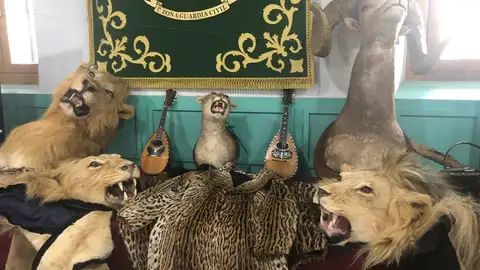 Especies exóticas incautadas por la Guardia Civil Especies exóticas incautadas por la Guardia Civil