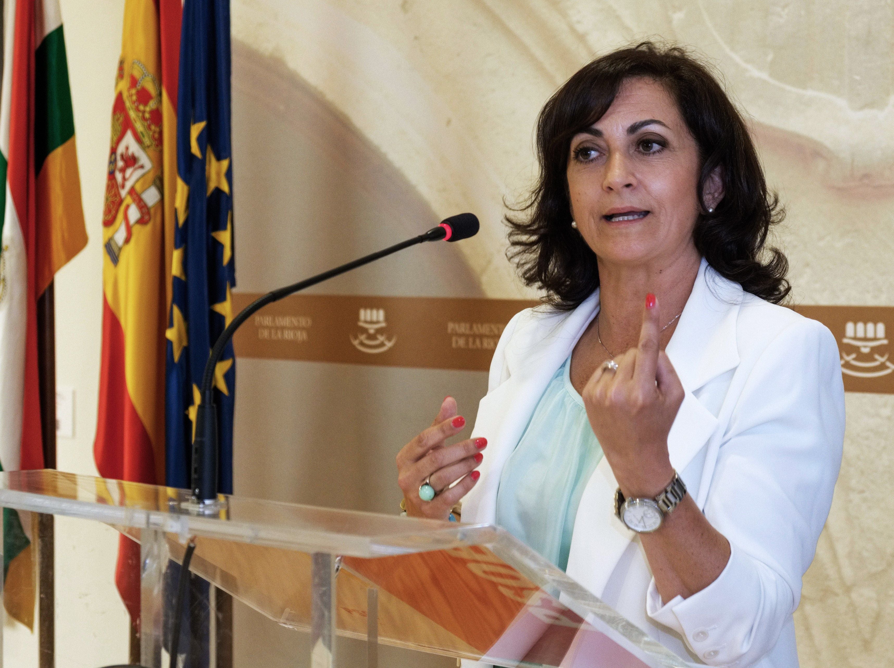 Andreu: "La atención de urgencias será mejor que la de veranos anteriores" Andreu: "La atención de urgencias será mejor que la de veranos anteriores"