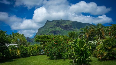 Jardines en Moorea