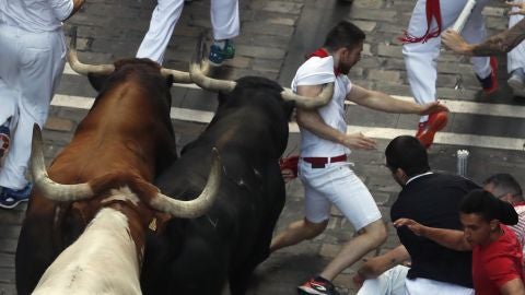 Los toros de la ganader&iacute;a de La Palmosilla, de Tarifa
