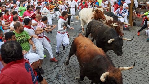 S&eacute;ptimo encierro de los Sanfermines 2019, con toros de La Palmosilla, de Tarifa (C&aacute;diz)