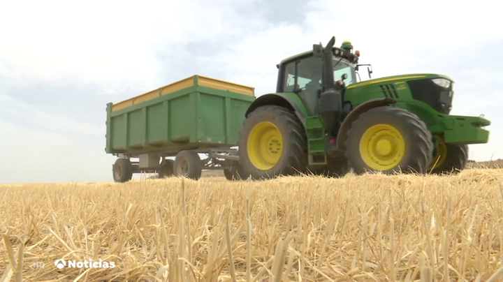 La sequía reduce a 5 millones la cosecha de cereal en Castilla y León La sequía reduce a 5 millones la cosecha de cereal en Castilla y León
