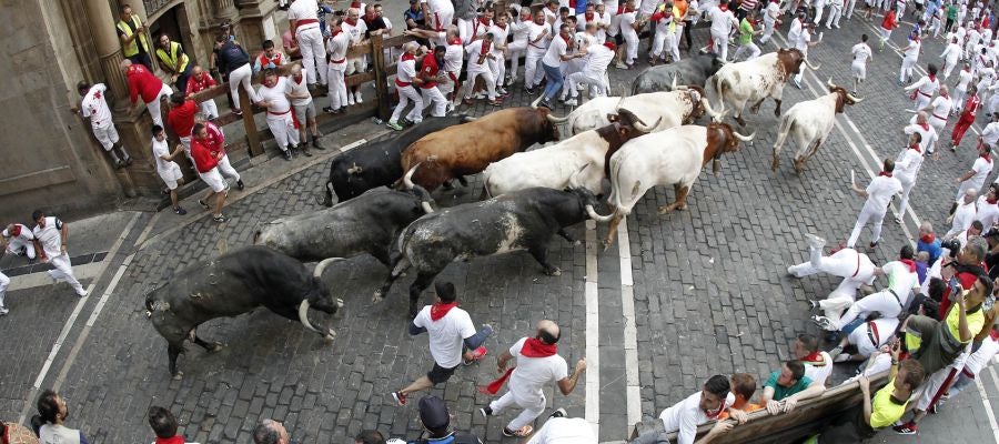 Los toros de la ganadería sevillana de Miura Los toros de la ganadería sevillana de Miura