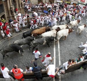 Los toros de la ganadería sevillana de Miura Los toros de la ganadería sevillana de Miura
