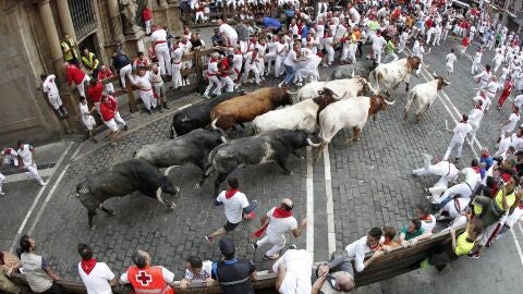 Los toros de la ganader&iacute;a sevillana de Miura
