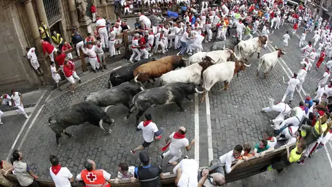 Los toros de la ganadería sevillana de Miura Los toros de la ganadería sevillana de Miura