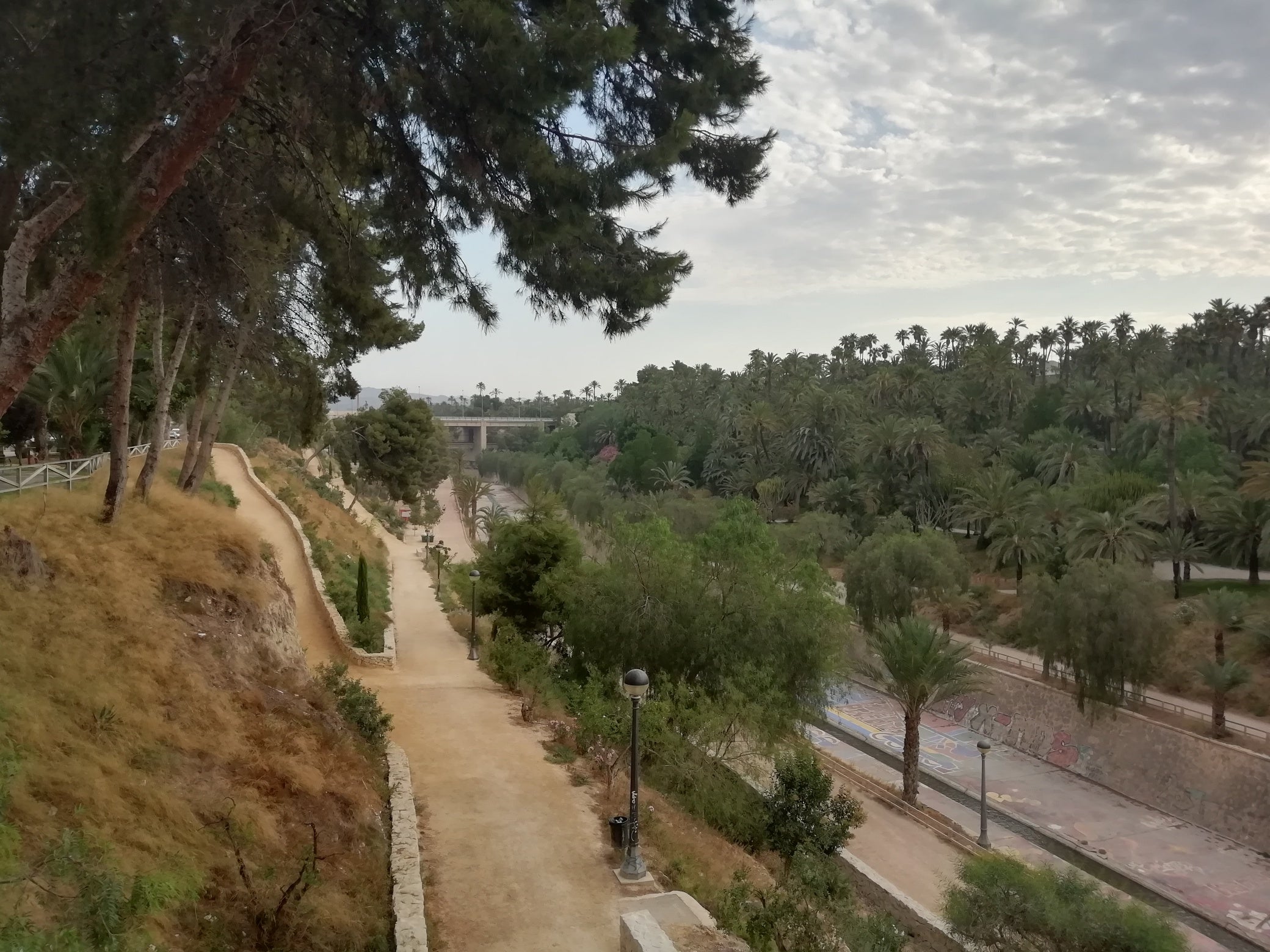 El Pantano de Elche y el parque natural de El Hondo quedarán unidos por un corredor El Pantano de Elche y el parque natural de El Hondo quedarán unidos por un corredor