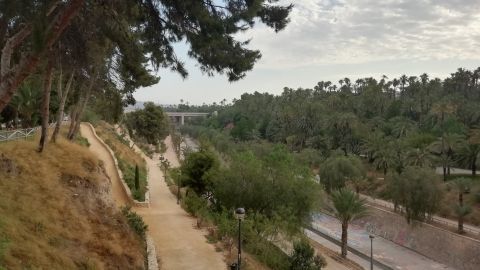 Ladera del Vinalop&oacute;.