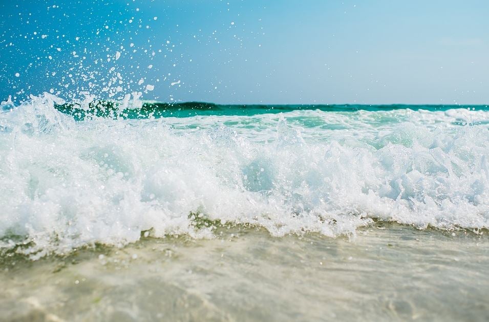 ¿Qué es lo más raro que te has encontrado en una playa? ¿Qué es lo más raro que te has encontrado en una playa?