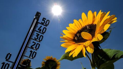 Vista de un term&oacute;metro que se eleva hasta los 39 grados