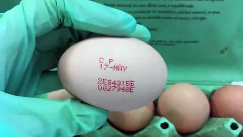 Primer metodo para diferenciar los cuatro tipos de huevos Primer metodo para diferenciar los cuatro tipos de huevos