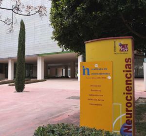 Instituto de Neurociencias de la Universidad Miguel Hernández de Elche. Instituto de Neurociencias de la Universidad Miguel Hernández de Elche.
