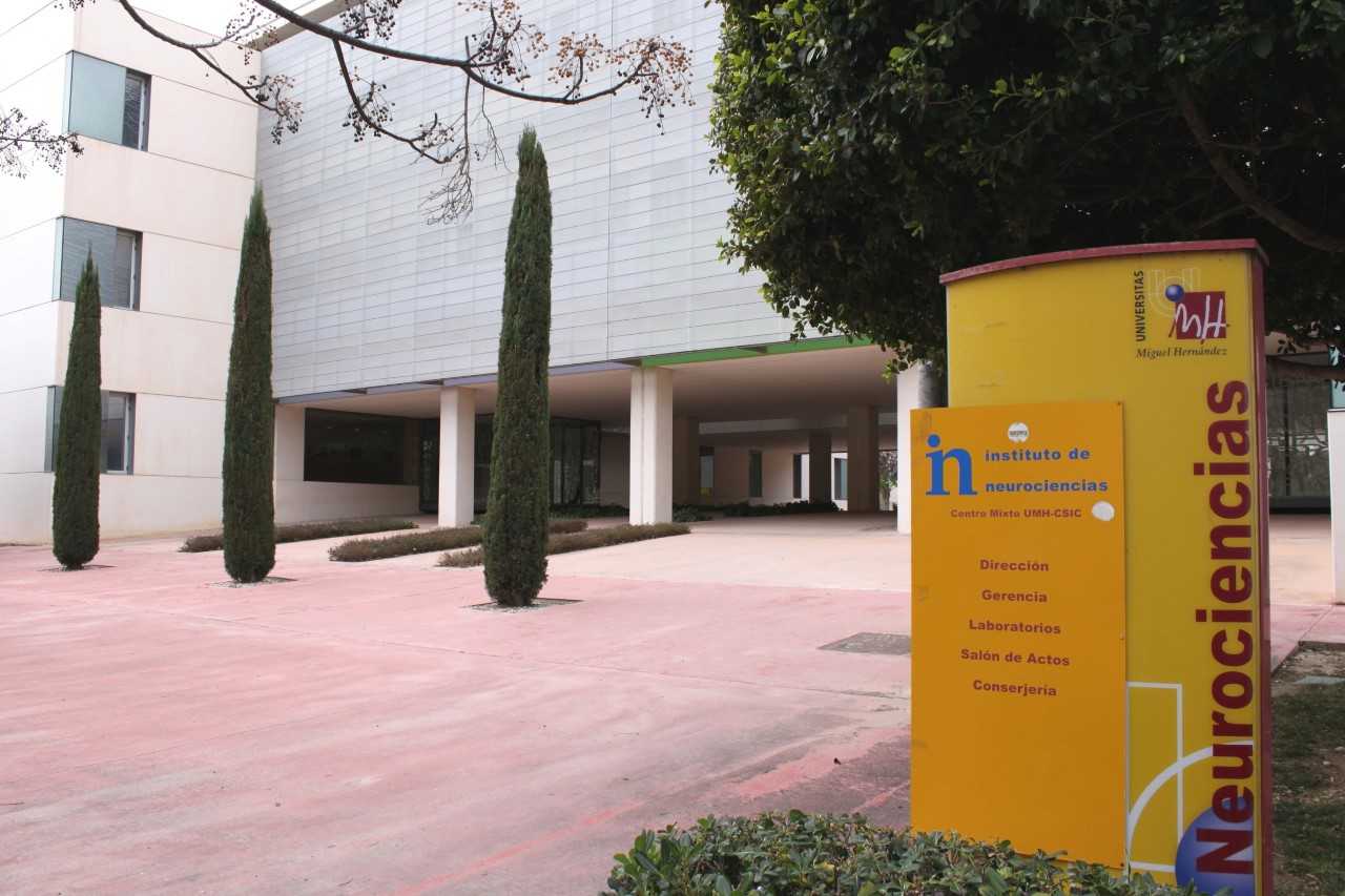 El Instituto de Neurociencias de la UMH de Elche busca marcadores biológicos para discriminar las conductas suicidas de las muertes violentas accidentales El Instituto de Neurociencias de la UMH de Elche busca marcadores biológicos para discriminar las conductas suicidas de las muertes violentas accidentales