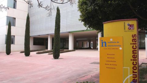 Instituto de Neurociencias de la Universidad Miguel Hern&aacute;ndez de Elche.