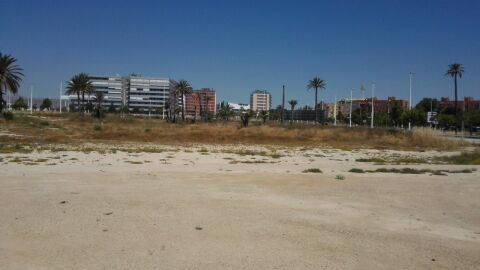 Solar en el que se construir&aacute; el instituto n&uacute;mero 11, 'Periodista Vicente Verd&uacute;'