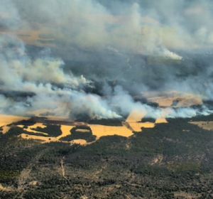 incendio barchin del hoyo incendio barchin del hoyo