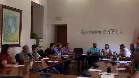 Colectivos del Camp d'Elx durante la solicitud. Colectivos del Camp d'Elx durante la solicitud.