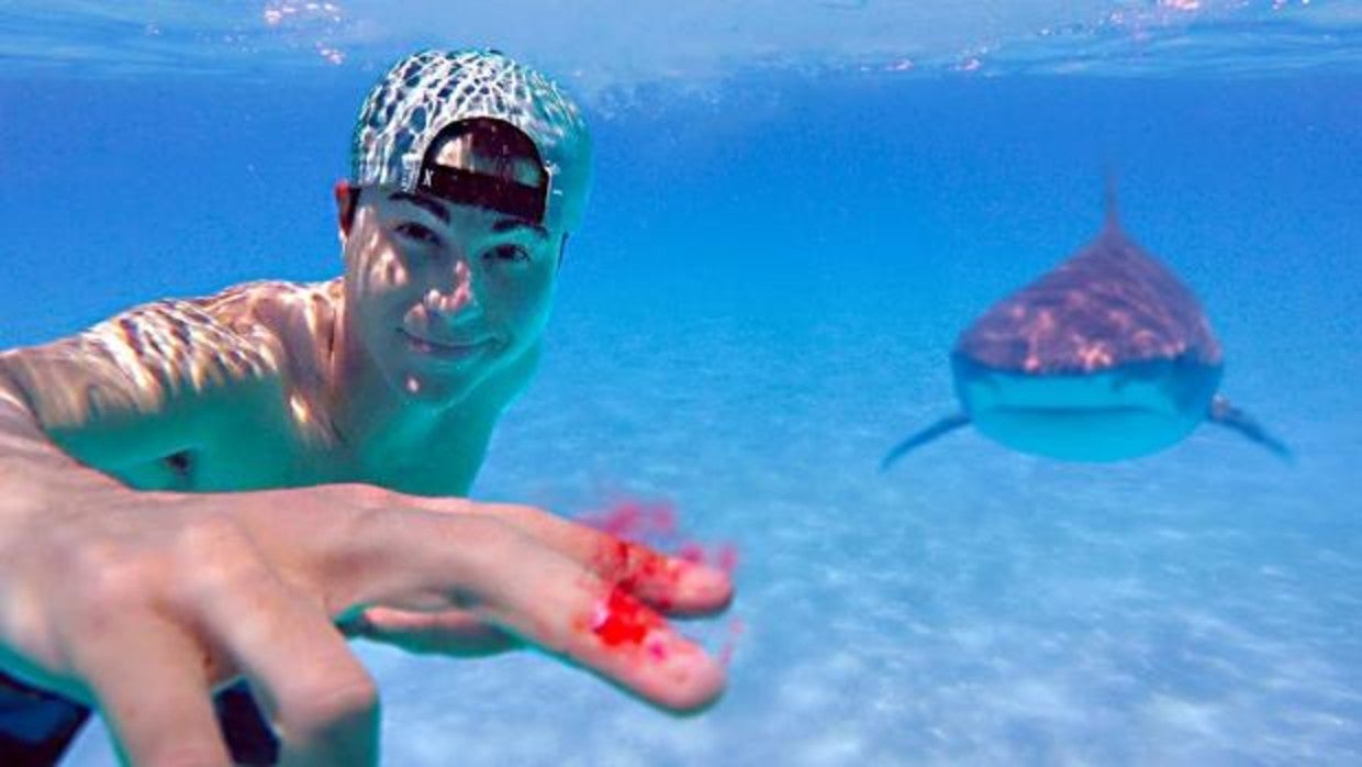 El youtuber que utilizó su propia sangre para atraer a los tiburones El youtuber que utilizó su propia sangre para atraer a los tiburones