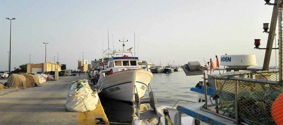 Barcos de pesca en el puerto de Santa Pola. Barcos de pesca en el puerto de Santa Pola.