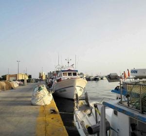 Barcos de pesca en el puerto de Santa Pola. Barcos de pesca en el puerto de Santa Pola.