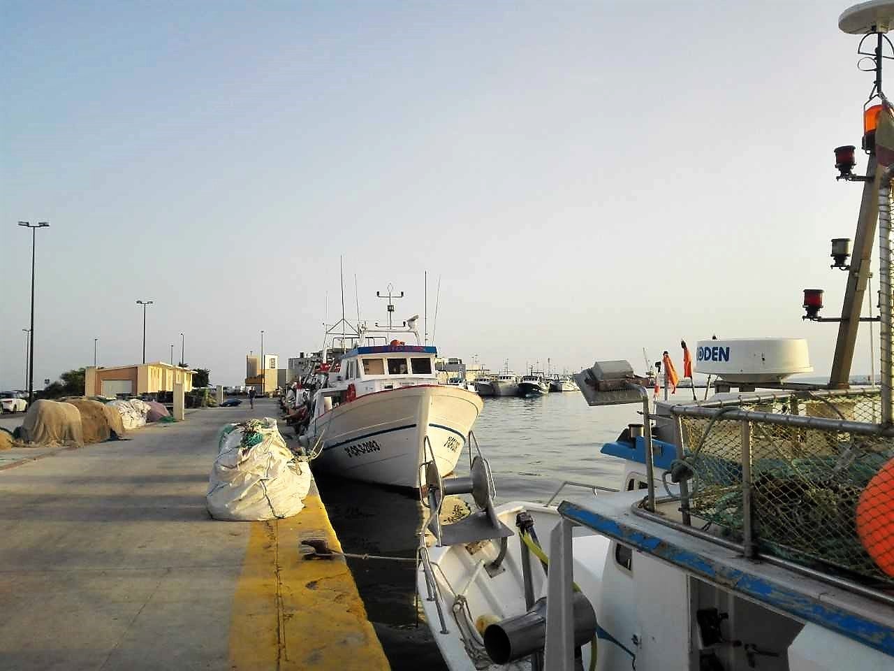 La diputada del PSOE Yolanda Seva se ofrece al sector pesquero para canalizar sus reivindicaciones en el Congreso La diputada del PSOE Yolanda Seva se ofrece al sector pesquero para canalizar sus reivindicaciones en el Congreso