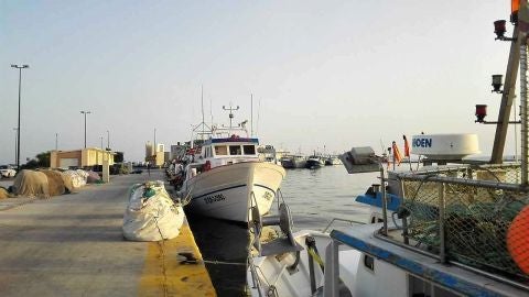 Barcos de pesca en el puerto de Santa Pola.