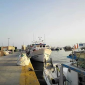 Barcos de pesca en el puerto de Santa Pola. Barcos de pesca en el puerto de Santa Pola.