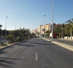 Avenida de la Libertad de Elche. Avenida de la Libertad de Elche.