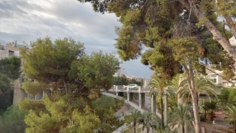 Elche. Elche.