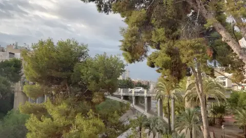 Elche. El tiempo en Elche