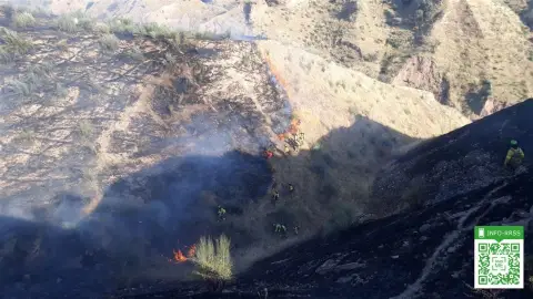 Pinos del Valle Incendio