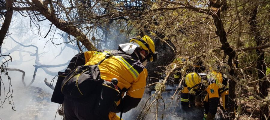 Operativos actuando en el incendio forestal. Operativos actuando en el incendio forestal.