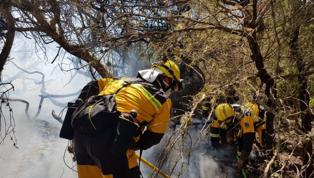Operativos actuando en el incendio forestal. 