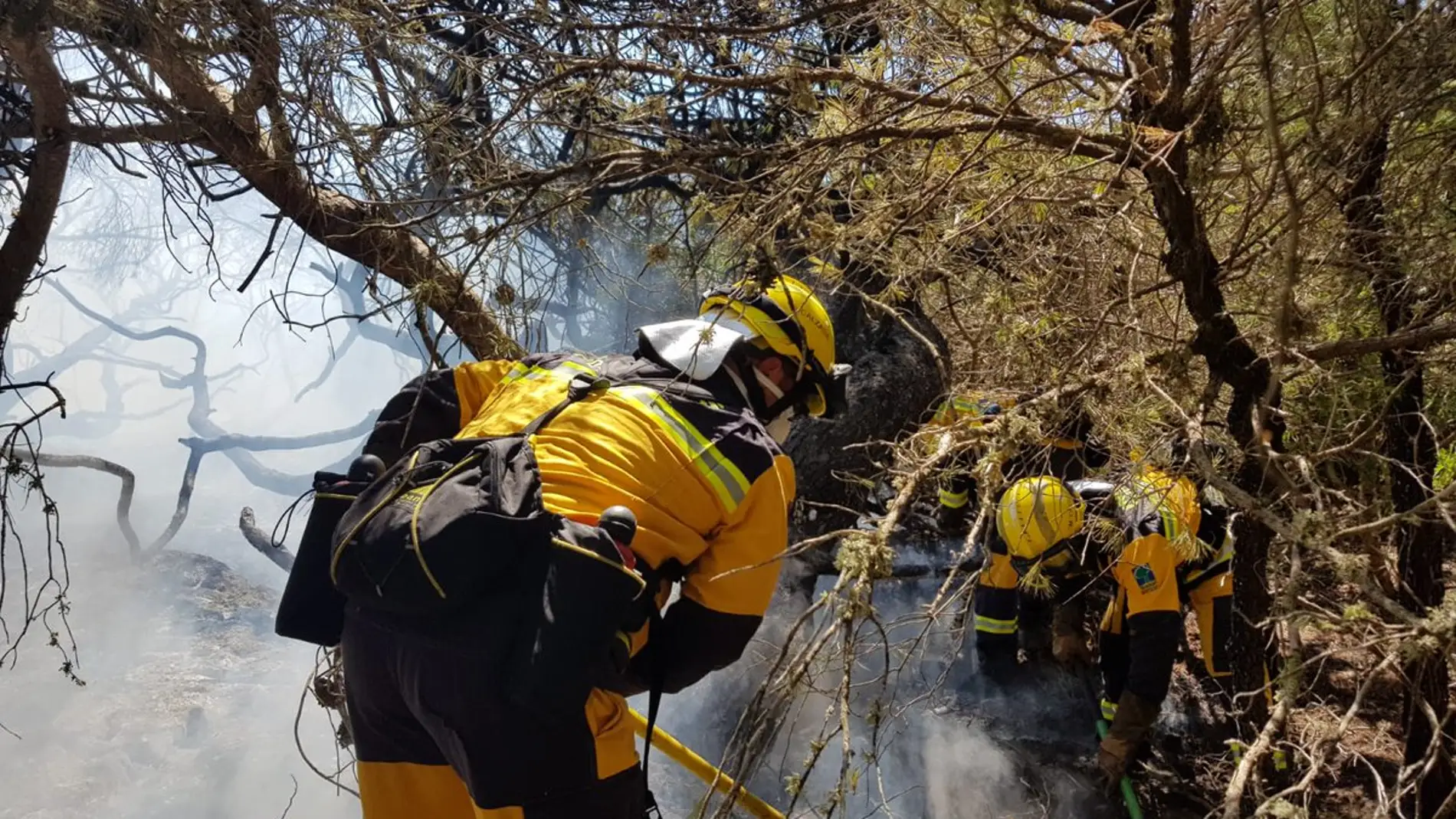 Operativos actuando en el incendio forestal. 
