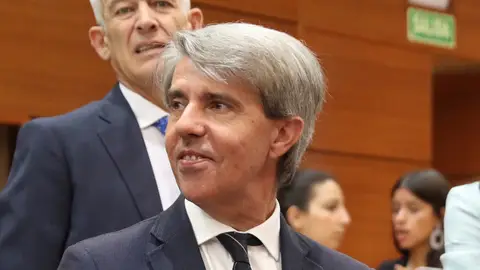 Ángel Garrido, durante la sesión de investidura de Isabel Díaz Ayuso Ángel Garrido, durante la investidura de Isabel Díaz Ayuso