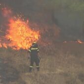 Los bomberos continúan luchando por extinguir el incendio en la isla griega de Eubea