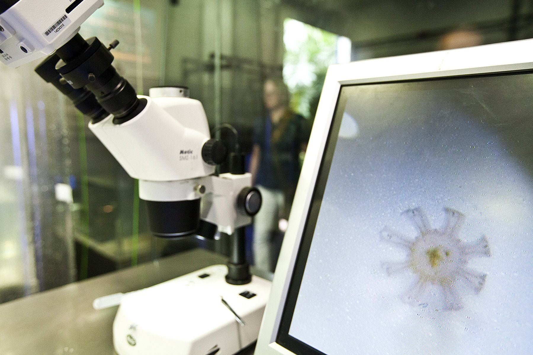 La Brújula de la ciencia: El impresionante descubrimiento sobre las arqueas de Asgard La Brújula de la ciencia: El impresionante descubrimiento sobre las arqueas de Asgard