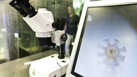 Vista de un microscopio en un laboratorio