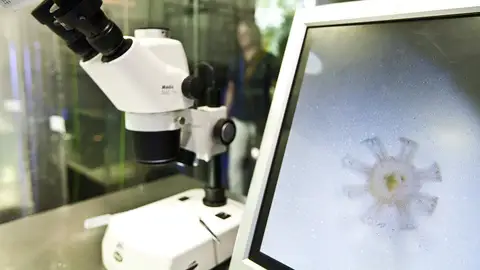 Vista de un microscopio en un laboratorio Vista de un microscopio en un laboratorio