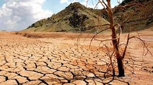 La sequía que soporta el campo cordobés La sequía que soporta el campo cordobés