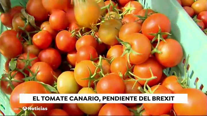 Bonny: "En Gran Canaria sólo quedan cuatro empresas vinculadas al sector y la actividad en Tenerife es mínima. Si no se reconduce la situación, el Brexit puede suponer nuestro final" Bonny: "En Gran Canaria sólo quedan cuatro empresas vinculadas al sector y la actividad en Tenerife es mínima. Si no se reconduce la situación, el Brexit puede suponer nuestro final"