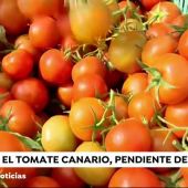 Nueva tomates