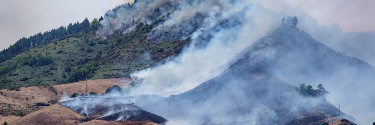 El incendio de Gran Canaria, sin control: arrasa más de 6.000 hectáreas y deja casi 9.000 personas evacuadas El incendio de Gran Canaria, sin control: arrasa más de 6.000 hectáreas y deja casi 9.000 personas evacuadas