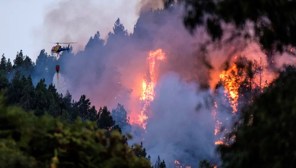 Un dispositivo de emergencia trabaja en la extinción de un incendio en el municipio de grancanario de Valleseco