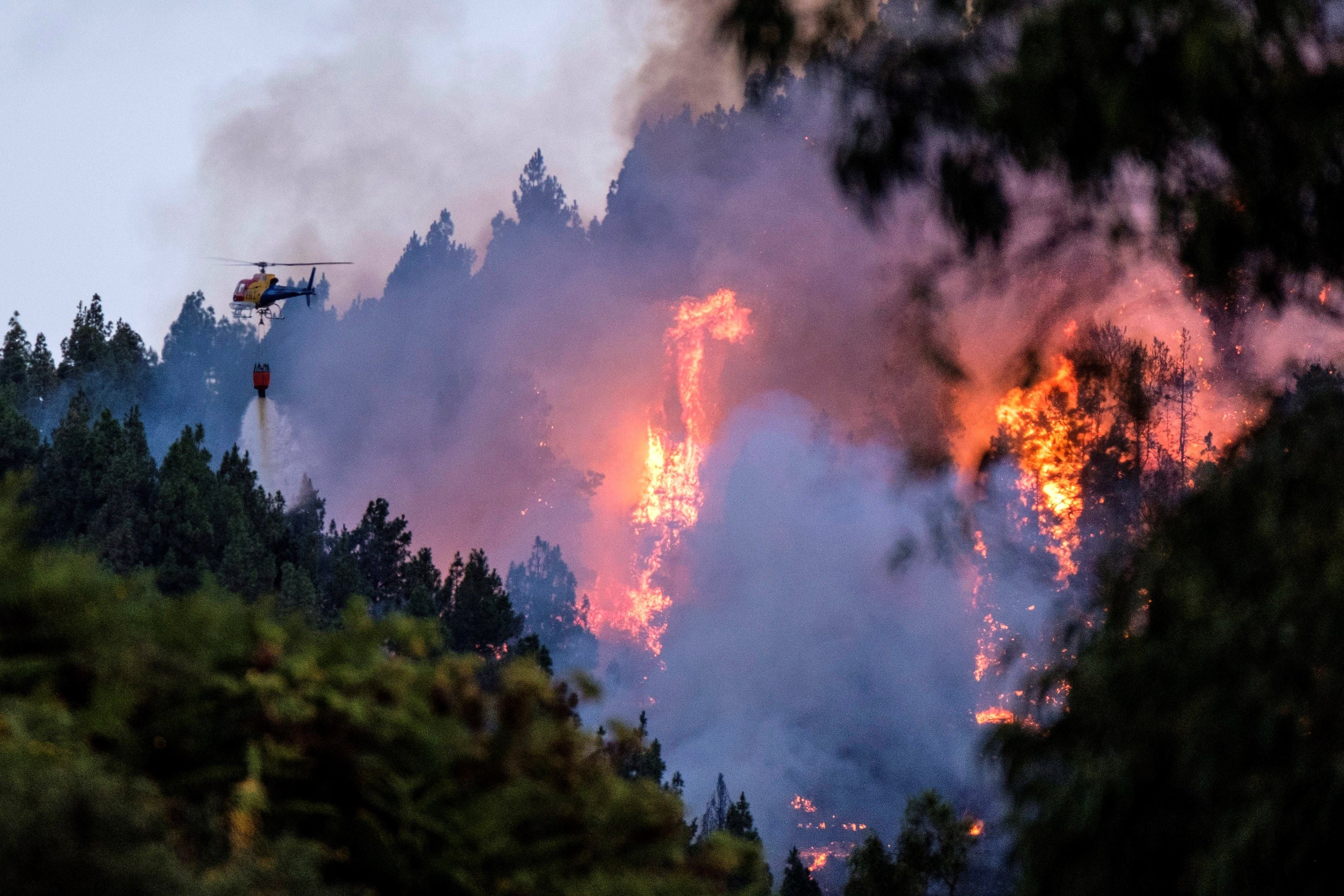 Más evacuaciones por el incendio de Gran Canaria que llega al parque Tamadaba Más evacuaciones por el incendio de Gran Canaria que llega al parque Tamadaba