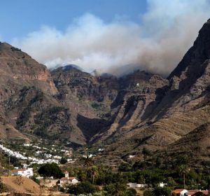 El incendio de Gran Canaria, sin control, entra en el Parque Natural de Tamadaba El incendio de Gran Canaria, sin control, entra en el Parque Natural de Tamadaba