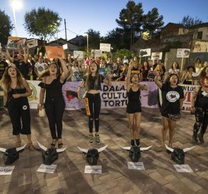 Los manifestantes protestaron frente a la Plaza de Toros de Ciudad Real Los manifestantes protestaron frente a la Plaza de Toros de Ciudad Real